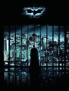 Art Poster The Dark Knight Trilogy - Night City, (26.7 x 40 cm)