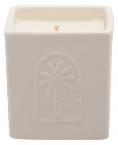 Aromatherapy Co Sunset Coconut Husk and Palm Ceramic Candle White