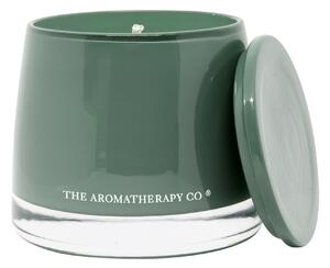 Aromatherapy Co Therapy Garden Wild Lime and Mint Jar Candle Green
