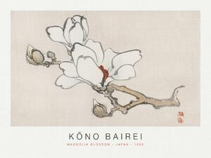 Fine Art Print Magnolia Blossom (Special Edition Japandi) - Kōno Bairei, (40 x 30 cm)