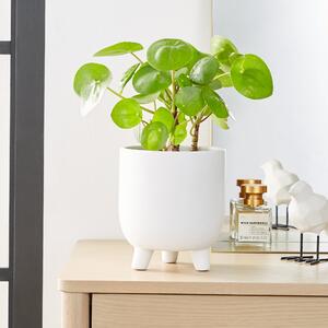 Ceramic Footed Plant Pot White White