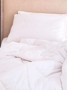 Merino Wool Pillow (single) | Square Size - Firm | Piglet in Bed