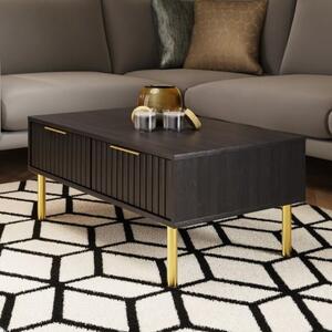 Natick Wooden Coffee Table With 2 Drawers In Black