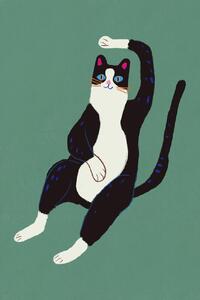 Illustration Black and white cat, Little Dean, (26.7 x 40 cm)