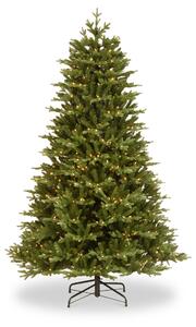 Brookfield Fir Pre-Lit Dual Colour LED 6ft Christmas Tree | Roseland