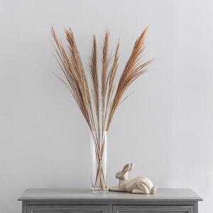 Dried Broom Grass
