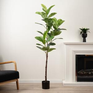 Artificial Real Touch Rubber Tree in Black Plastic Plant Pot Green