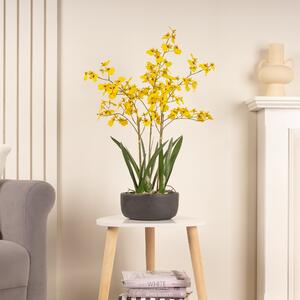 Artificial Yellow Dancing Orchid in Black Ceramic Plant Pot Yellow