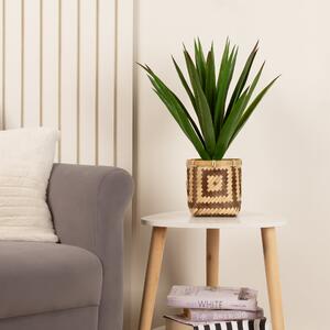Artificial Spikey Plant in Bamboo Plant Pot Green