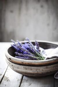 Photography Lavender In Bowl, Treechild, (26.7 x 40 cm)