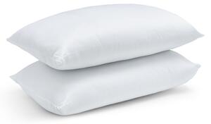 Catherine Lansfield Anti Allergy Hollowfibre Pillow White
