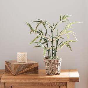 Tabletop Bamboo in Basket Pot Green/Brown