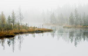 Photography Water in forest, Roine Magnusson