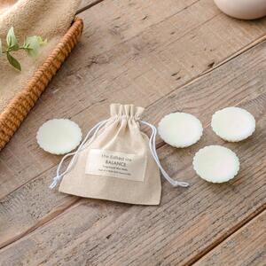 Set of 4 Balance Wax Melts