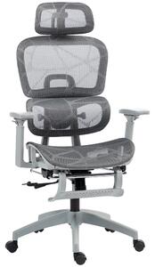 HOMCOM Executive Office Chair, Ergonomic Mesh High Back Desk Chair with Lumbar Support, Reclining Function, Swivel Computer Chair with 3D Armrest, Headrest, Footrest, Grey