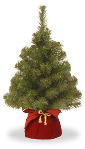 Nobel Spruce 2ft Christmas Tree Miniature In Burgundy Bag | Roseland