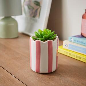 Artificial Succulent in Striped Ceramic Plant Pot