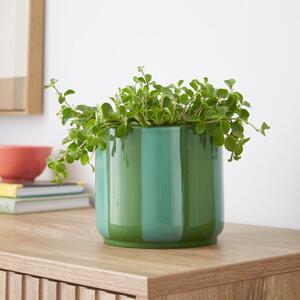 Elements Striped Ceramic Plant Pot