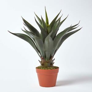 Green ‘Century Plant’ Artificial Agave Americana In Pot, 60cm Tall