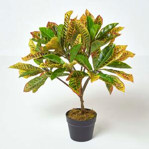 Artificial Croton Plant – Green Rushfoil with Lifelike Leaves, 65cm