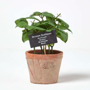 Homescapes Artificial Herb Basil Plant in Decorative Pot