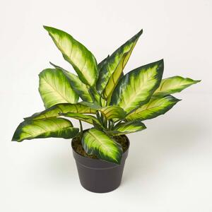 Homescapes Artificial Dieffenbachia Dumb Cane Plant in Pot 50 cm Tall