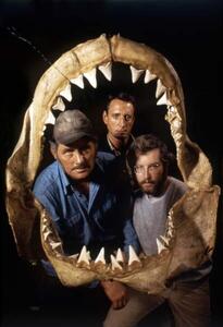 Photography JAWS, 1975