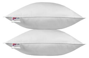 Homescapes Duck Feather Euro Pillow Pair 80cm X 80cm (32"x32")