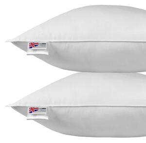 Homescapes Duck Feather & Down Euro Pillow Pair 80cm X 80cm (32"x32")