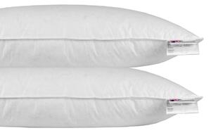 Homescapes Goose Feather & Down Euro Pillow Pair 40cm X 80cm (16"x32")