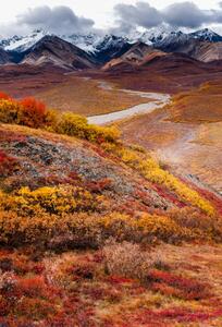 Photography One Autumn Morning, Kal K / 500px