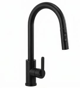Kitchen faucet REA Ontario Black