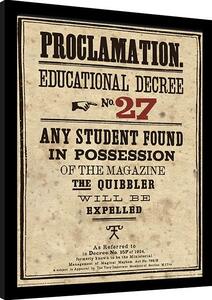 Framed poster Harry Potter - Educational Decree No. 27