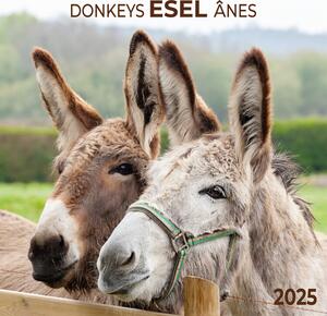 Calendar 2025 Esel