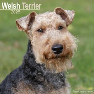 Calendar 2025 Welsh Terrier