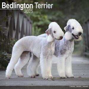 Calendar 2025 Bedlington Terrier