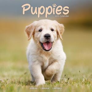 Calendar 2025 Puppies