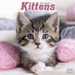 Calendar 2025 Kittens