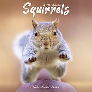 Calendar 2025 Squirrels