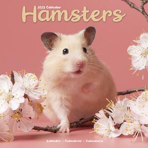 Calendar 2025 Hamsters