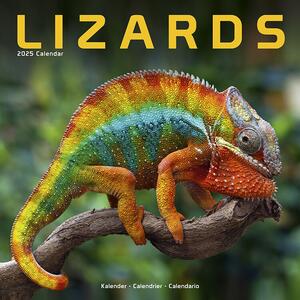 Calendar 2025 Lizards