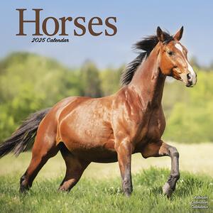 Calendar 2025 Horses