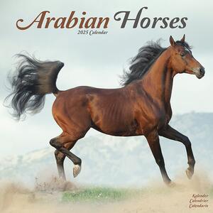 Calendar 2025 Arabian Horses