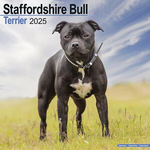 Calendar 2025 Staffordshire Bull Terrier