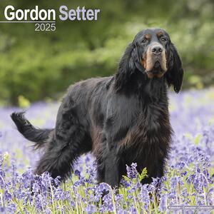 Calendar 2025 Gordon Setter