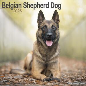 Calendar 2025 Belgian Shepherd Dog