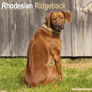 Calendar 2025 Rhodesian Ridgeback