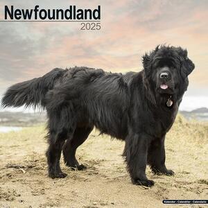 Calendar 2025 Newfoundland