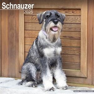 Calendar 2025 Schnauzer