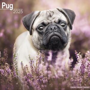 Calendar 2025 Pug